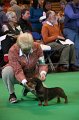 Crufts2010 797